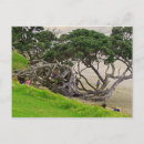 Search for tangle postcards Beach