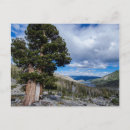 Search for evergreen tree postcards Clouds