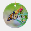 Search for monarch christmas tree decorations Milkweed