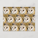 Search for owl pattern postcards Bird of prey