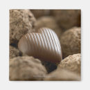 Search for studio photos magnets Selective focus