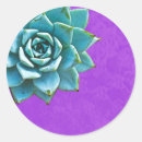 Search for teal aqua stickers Purple