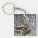 Search for wild duck key rings Nature