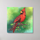 Search for cardinal painting canvas prints Beautiful
