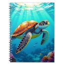 Search for turtle notebooks Ocean