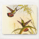 Search for hummingbird mousepads Flower