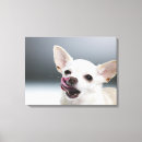 Search for chihuahua dog canvas prints Photography
