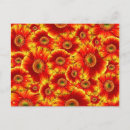 Search for burst postcards Floral