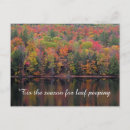 Search for fall postcards Forest