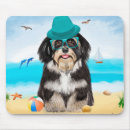 Search for havanese electronics Pet