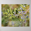 Search for fruit of the spirit art Christian