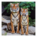 Search for male posters Wildlife