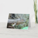 Search for iguanas cards Cute