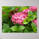 Search for deep posters Elegant