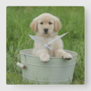 Search for dog bath art Animal