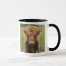 Search for highland cattle mugs Agriculture