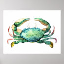 Search for blue crab posters Watercolor