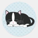 Search for kitty Pets