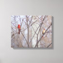 Search for family tree canvas prints Birds