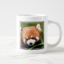 Search for cute red panda mugs Wildlife