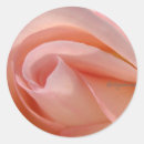 Search for up close stickers Rose