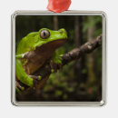 Search for amphibian christmas tree decorations Frog