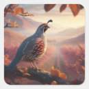 Search for quail stickers California