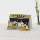 Search for boxes for cards Cats