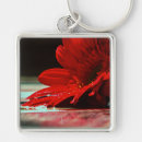 Search for gerber key rings Daisy