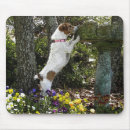 Search for manipulation mousepads Photography