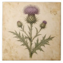 Search for vintage tiles Antique