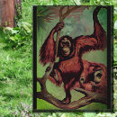 Search for borneo postcards Wild animals