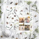 Search for eucalyptus cards Photos