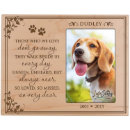 Search for display pet supplies Sympathy