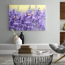 Search for lavender canvas prints Photography