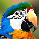 Search for macaw tshirts Animals