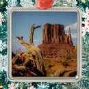 Search for southwest christmas tree decorations Arizona