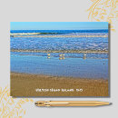 Search for shorebirds cards invites Sand