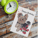 Search for yorkie puppies invitations Yorkshire terrier