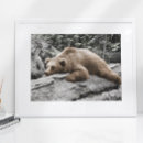 Search for log cabin Rustic