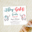 Search for elephant gender reveal Boy or girl