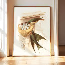 Search for swallow posters Barn