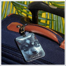 Search for timber wolf accessories Wildlife
