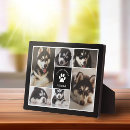 Search for pet name White