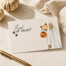 Search for golden retriever halloween cards Cute halloween dog