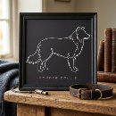 Search for colly art Border collie