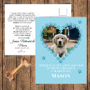 Search for new puppy announcement postcards For pets