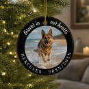 Search for forever in our hearts Dog