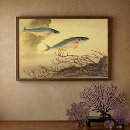Search for mackerel posters Fish