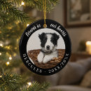 Search for pet supplies Forever in our hearts